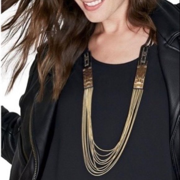 :: Stella & Dot Jasper Ombré Necklace - Picture 7 of 10